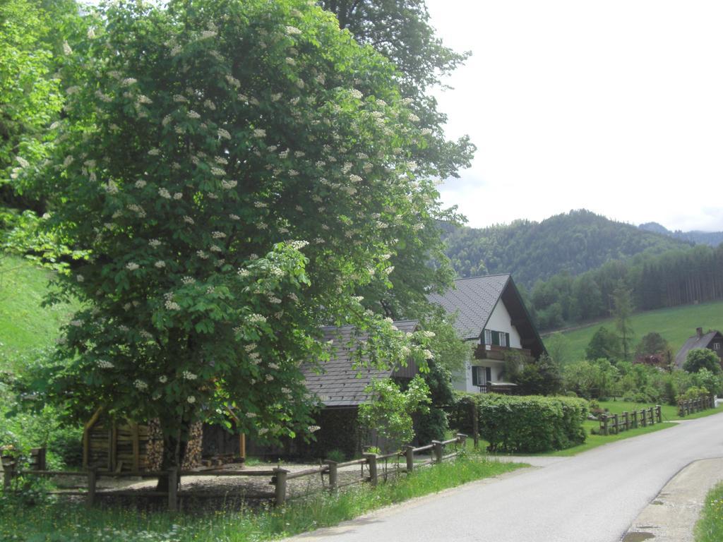 Ferienwohnung Lange Göstling an der Ybbs Exterior foto