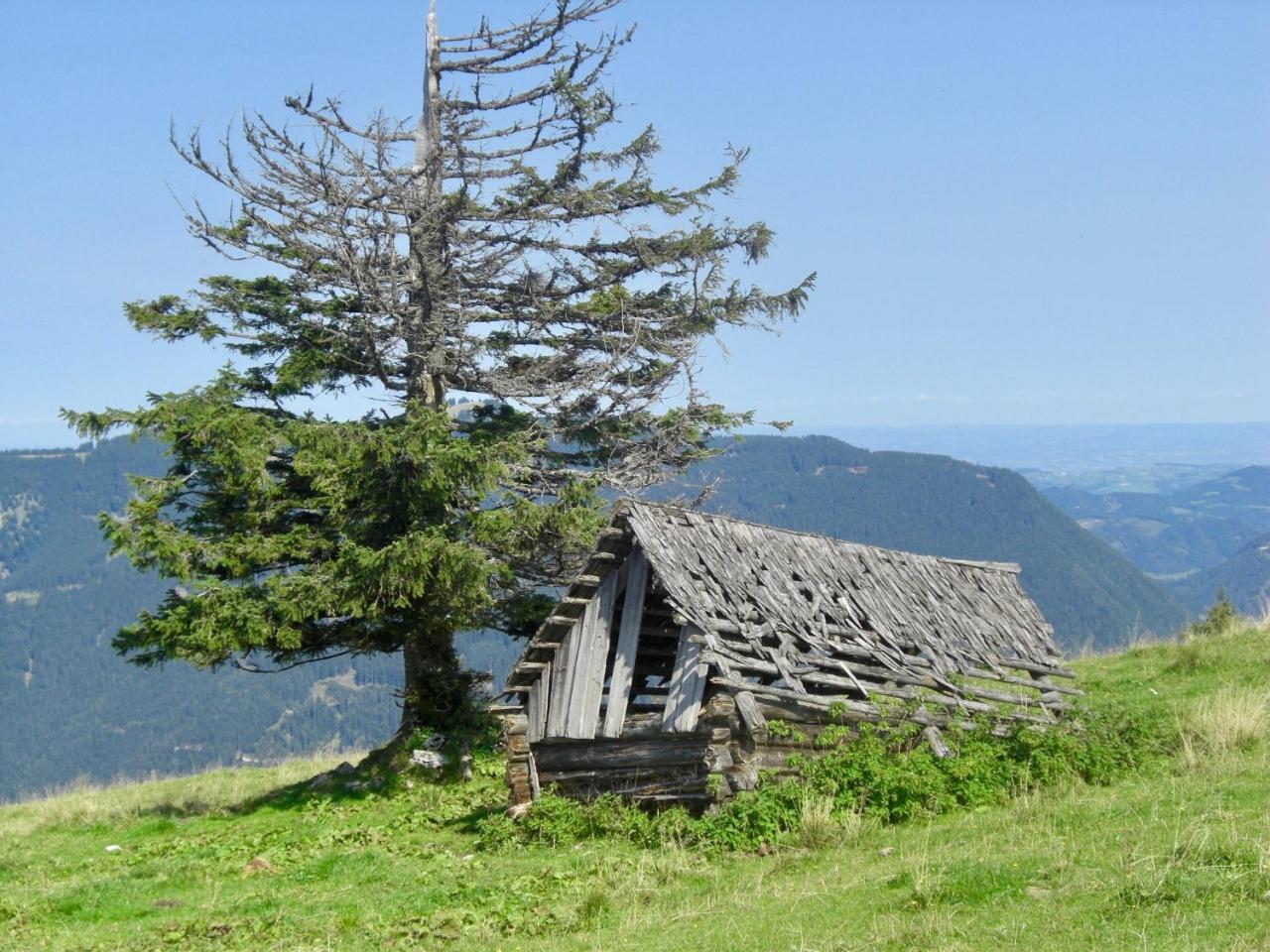 Ferienwohnung Lange Göstling an der Ybbs Exterior foto