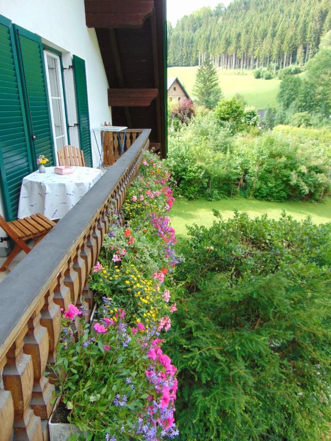 Ferienwohnung Lange Göstling an der Ybbs Exterior foto
